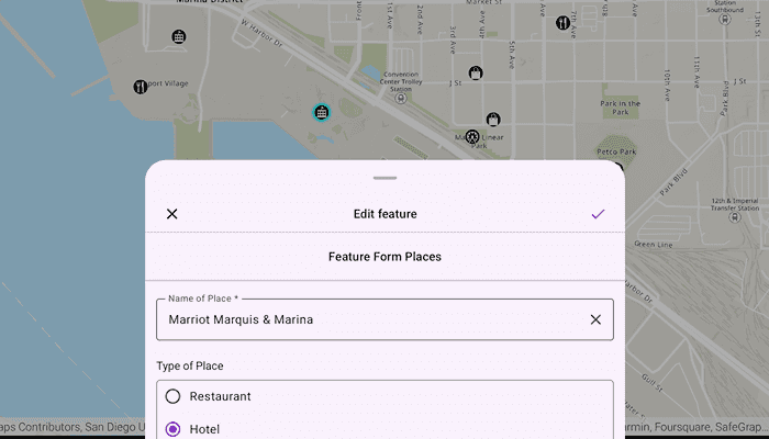 Image of Edit features using feature forms